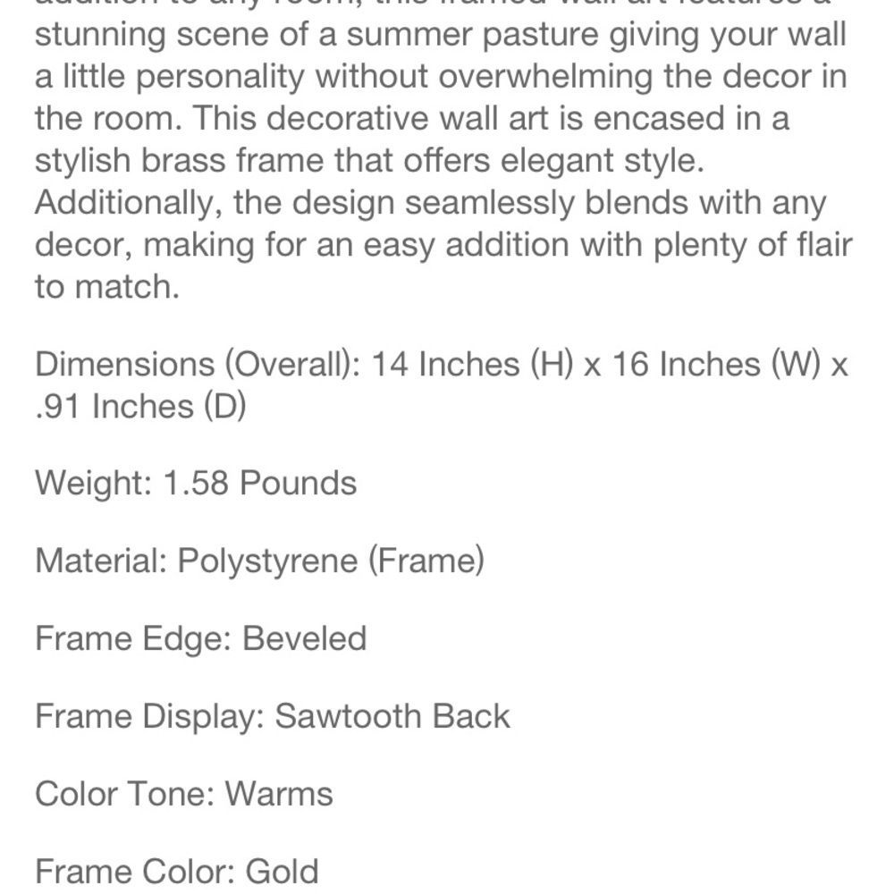 STUDIO MCGEE NEW summer pasture framed wall art -brass -11x14 - Picture 4 of 4